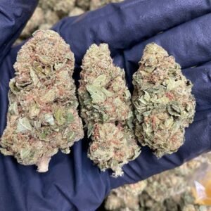 Buy Weed Online in glasgow